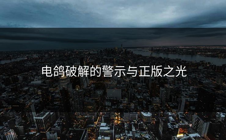 电鸽破解的警示与正版之光
