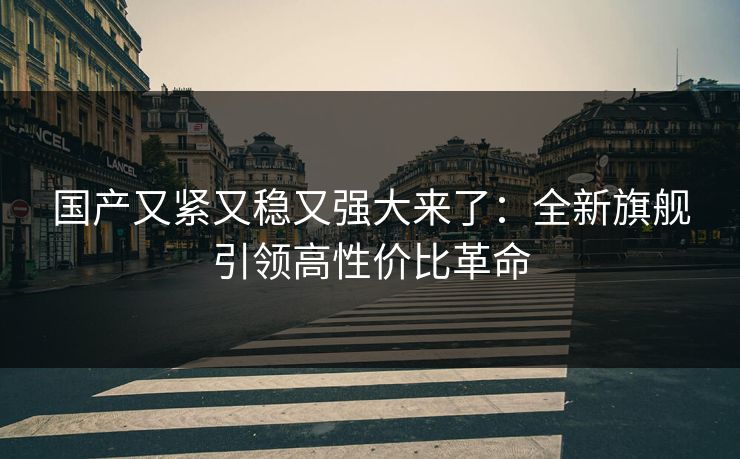 国产又紧又稳又强大来了:全新旗舰引领高性价比革命