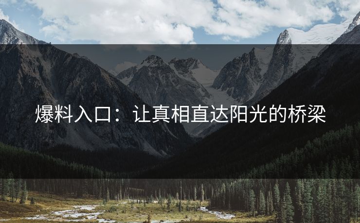 爆料入口：让真相直达阳光的桥梁